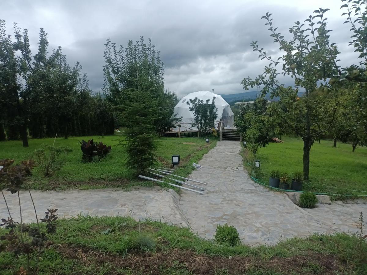 Sapanca Green Dome ภายนอก รูปภาพ